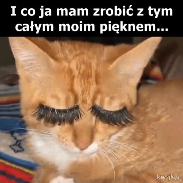 Piękno