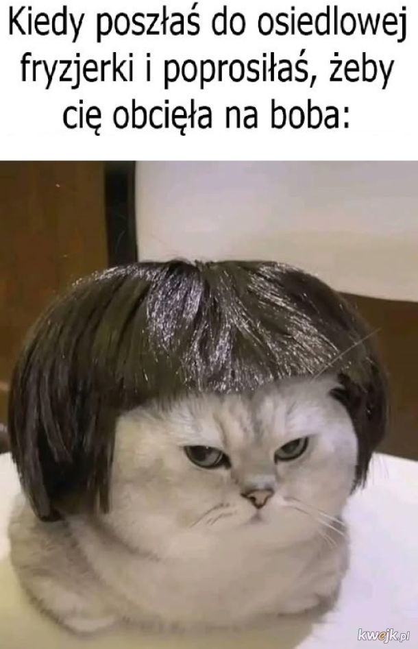 Fryzura