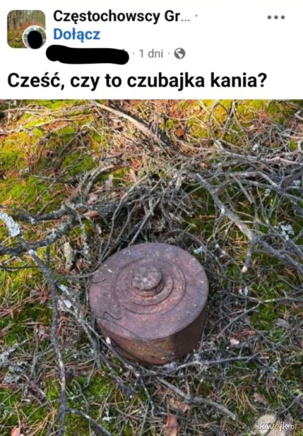 Tak