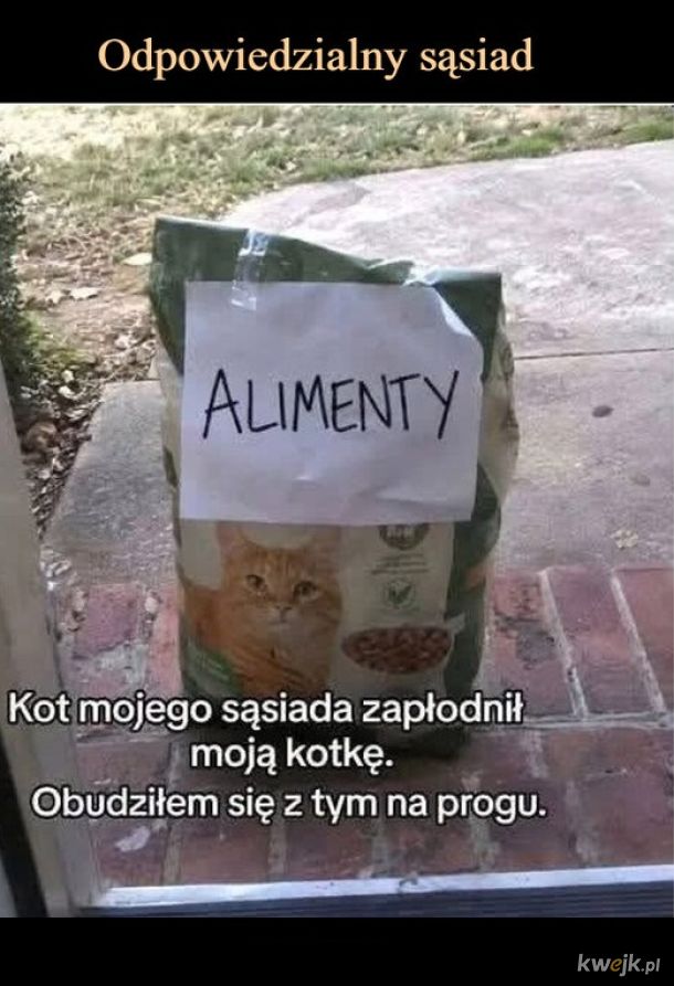 Alimenty