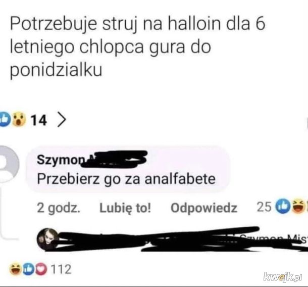 2 tygodnie, mało casu kruca bomba