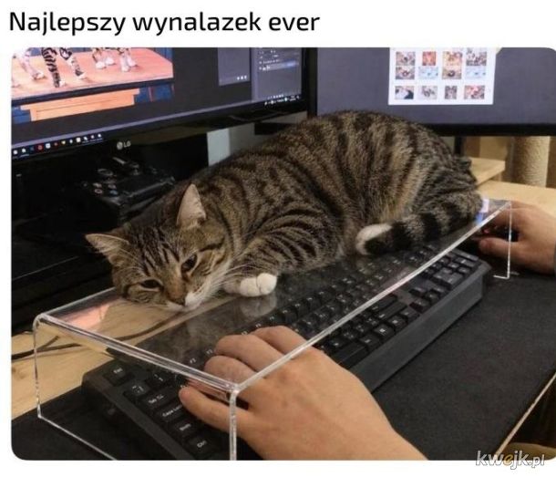Wynalazek
