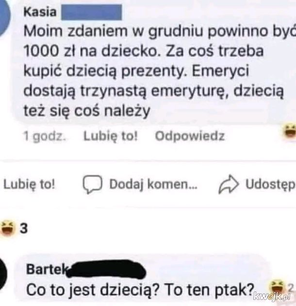 Ten ptak