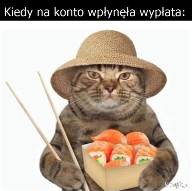 Wyplata