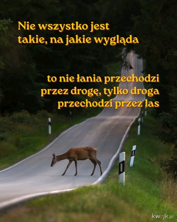 Nie wszystko jest takie, na jakie wygląda
