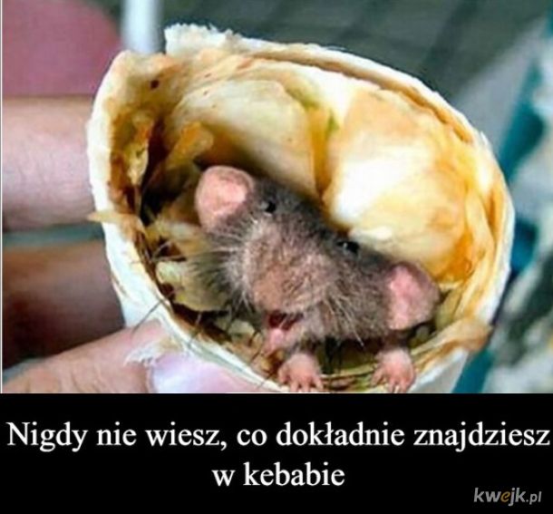 Kebab