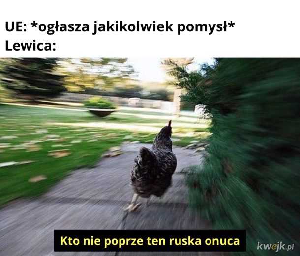Żałosne