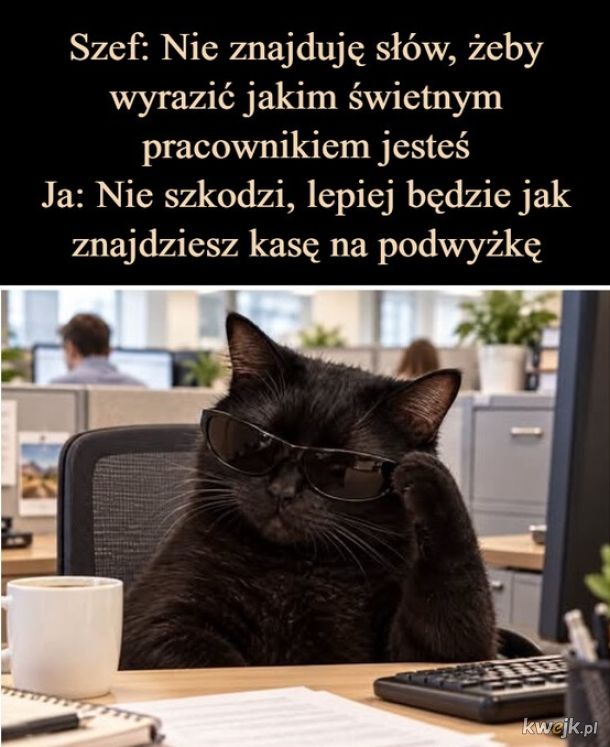 Krótko