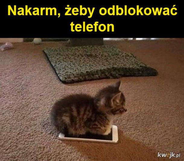 Szantaż