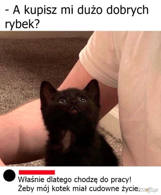 Prośba