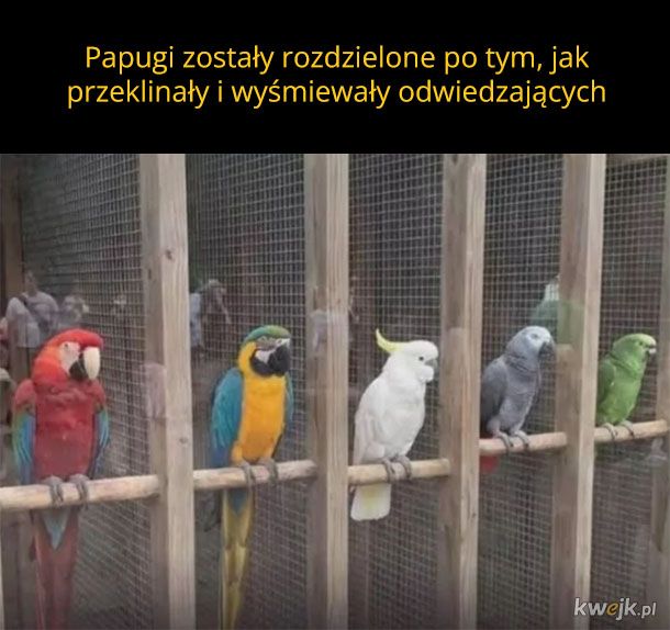 Separacja