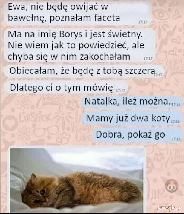 Nowy nabytek