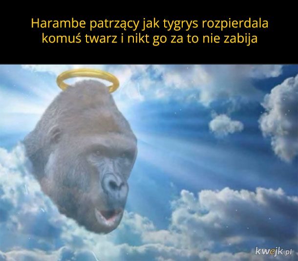 To tak się da?