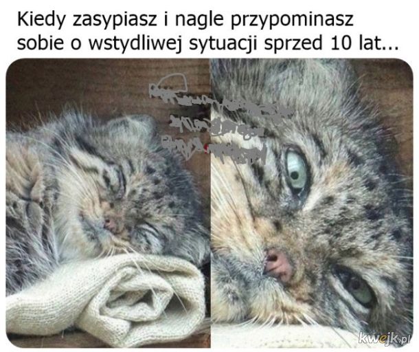 Wspomnienie
