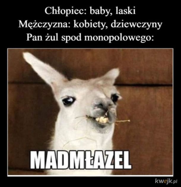 Pan żul