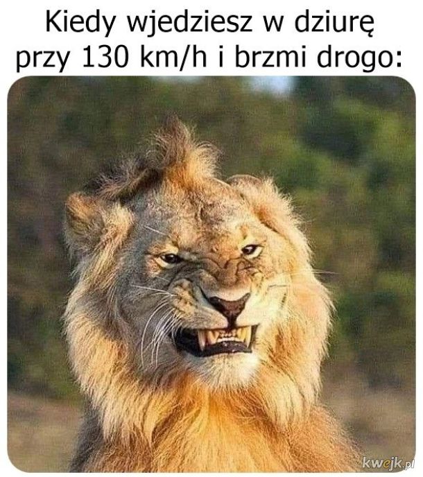 Zawał