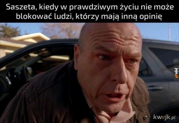 Saszeta w świecie realnym 