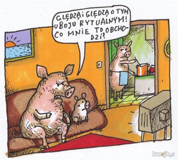 Wielka Biala Polska Śwynia