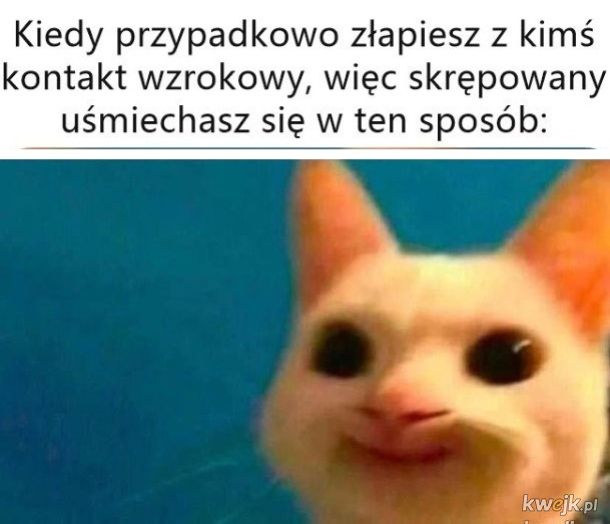 Kontakt