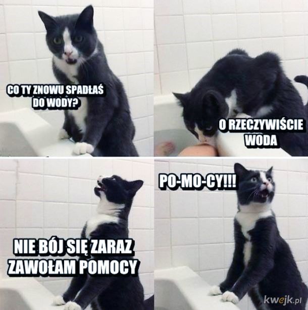 Ratownik