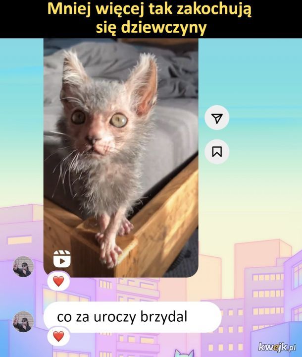 Miłość