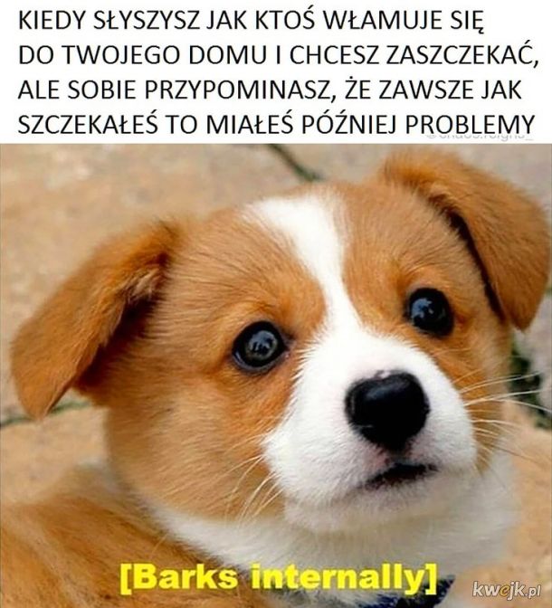 Po co problemy