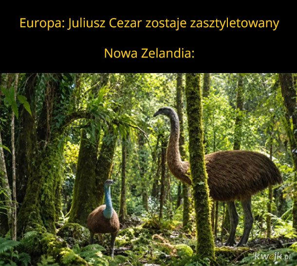 Dzieje się