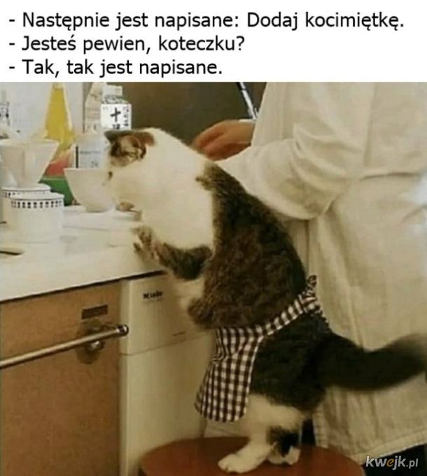 Przepis