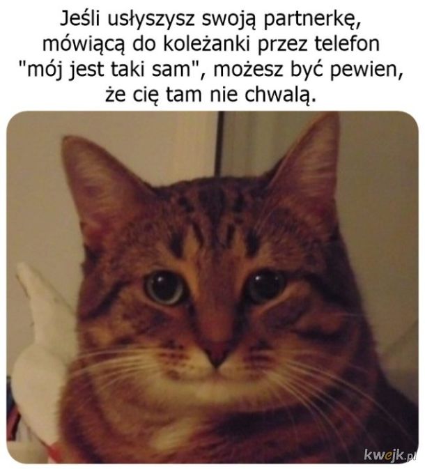 Prawda