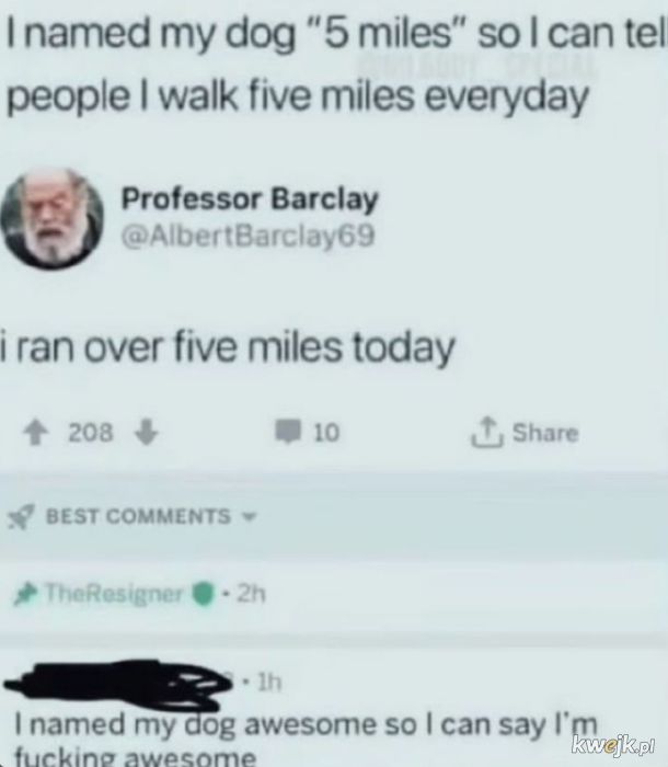 Humor