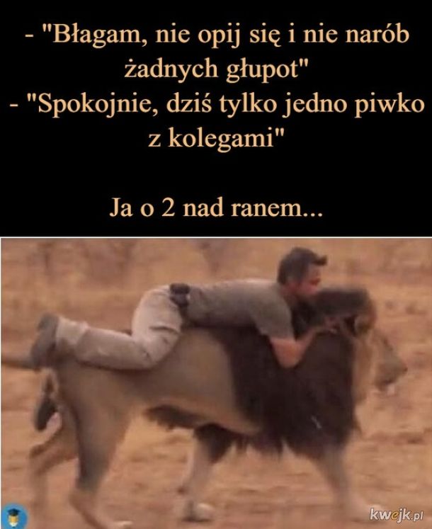 Na spokojnie    xd
