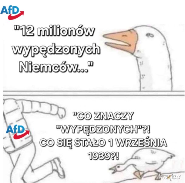 Najbardziej propolska partia w Niemczech