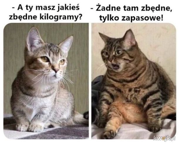 Jakieś są