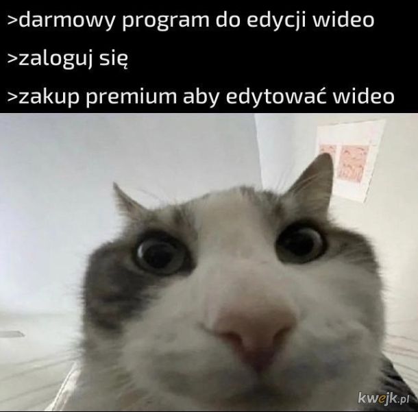 Zakup