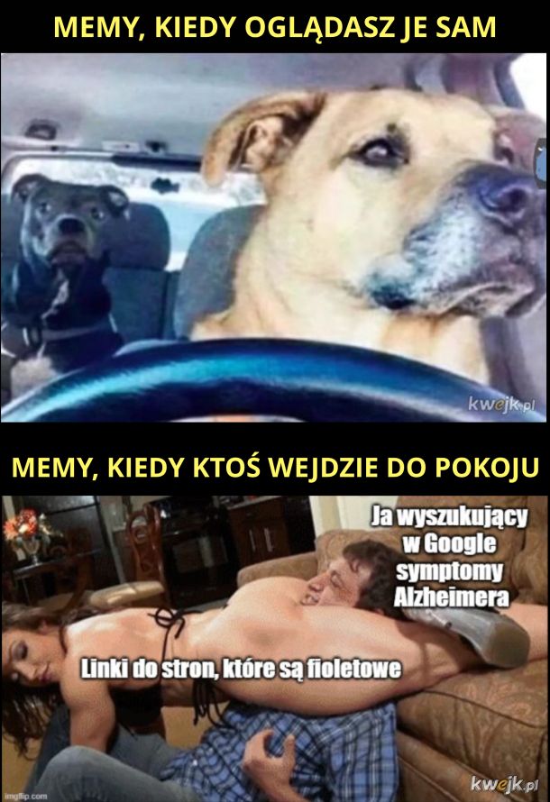 Tytuł