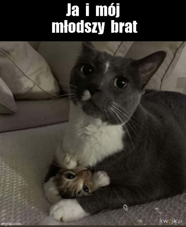 Rodzeństwo