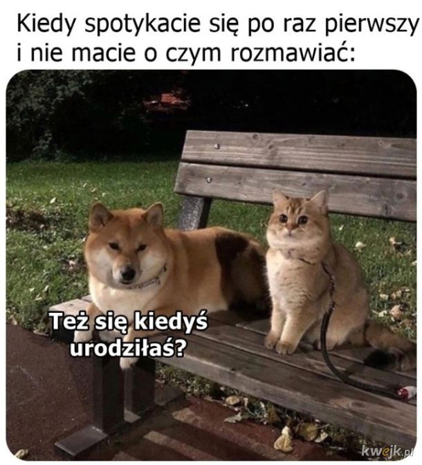 Kleska