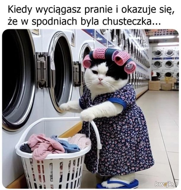 Pranie