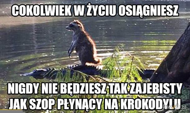 Szop
