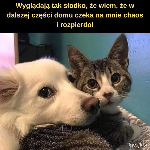 Dobra decyzja