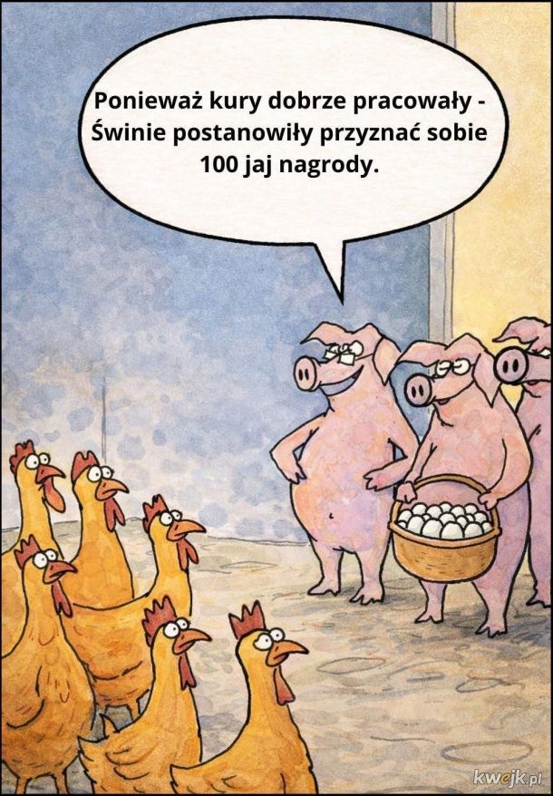 a kury powinne im podziękować bo te drugie swinie napewno przyznałyby sobie po kubełku hot wingsow