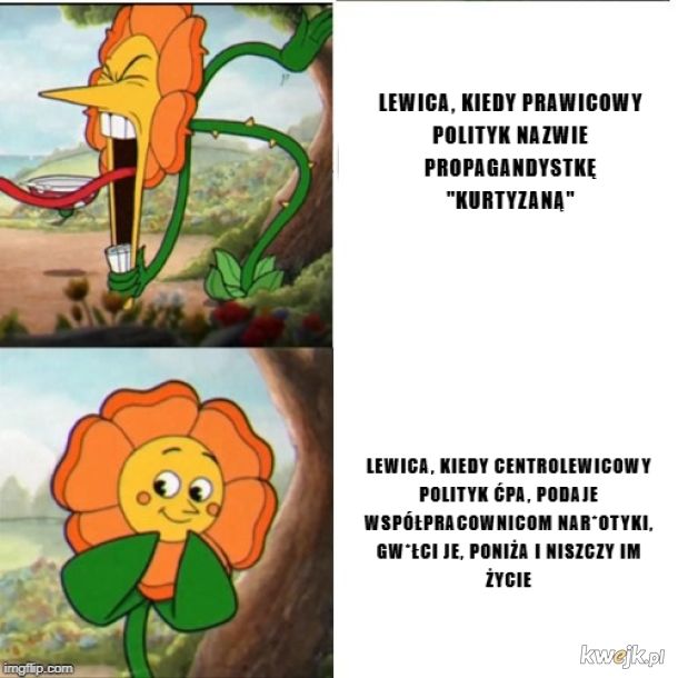 kołodziejczakowane