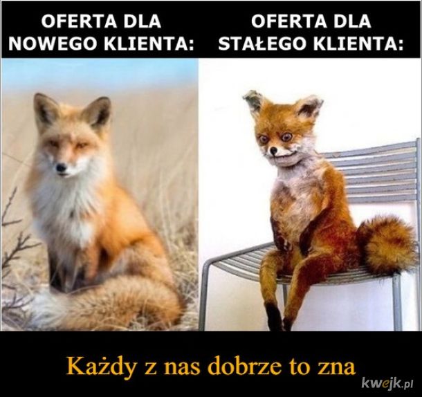 Oferta
