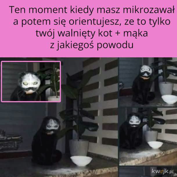 Zawał