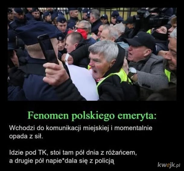 fenomen