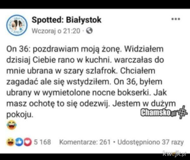 odezwie sie zeby nazwać cie idiotą, głupkiem lub debilem
