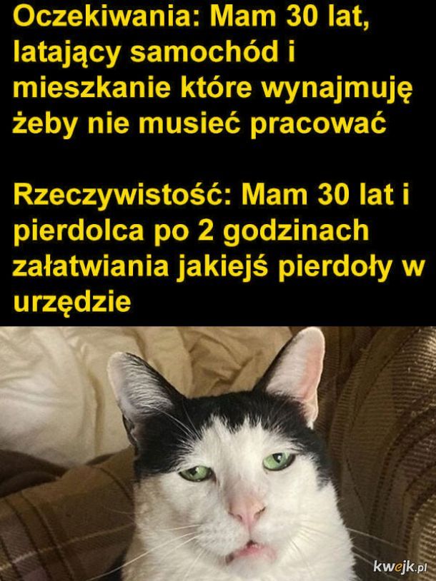 Życie