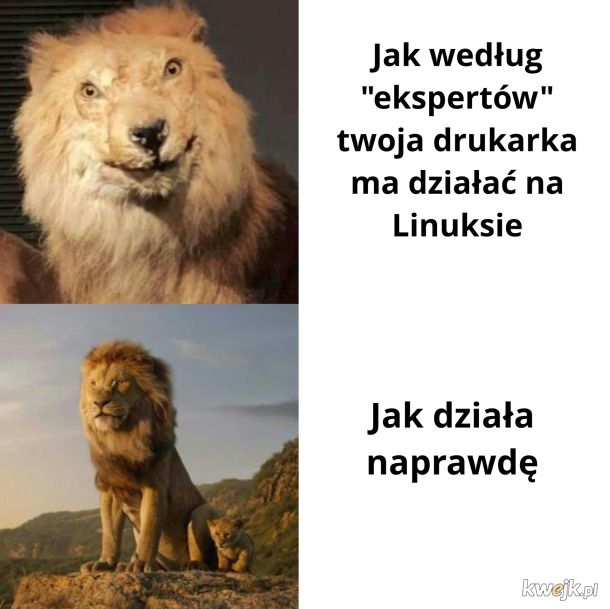 A jednak