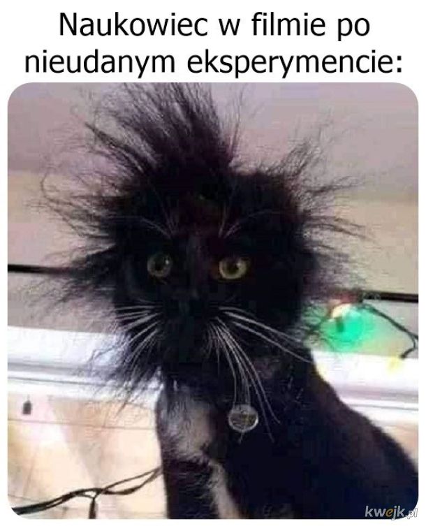 Eksperyment