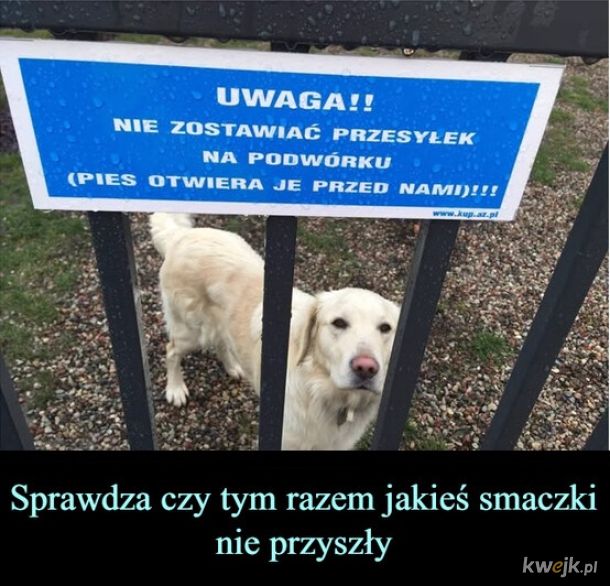 Przesyłki